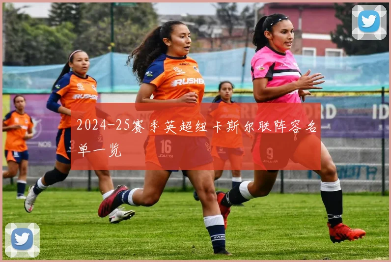 2024-25赛季英超纽卡斯尔联阵容名单一览