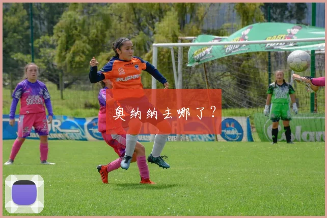 奥纳纳去哪了？