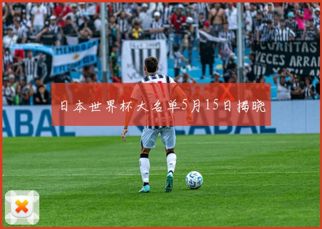 日本世界杯大名单5月15日揭晓