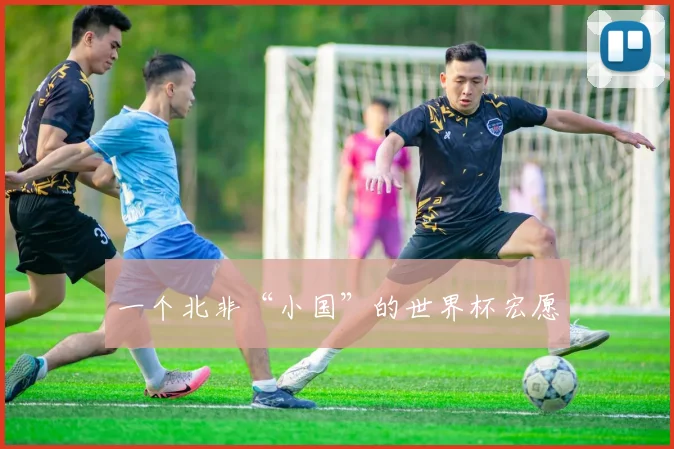 一个北非“小国”的世界杯宏愿