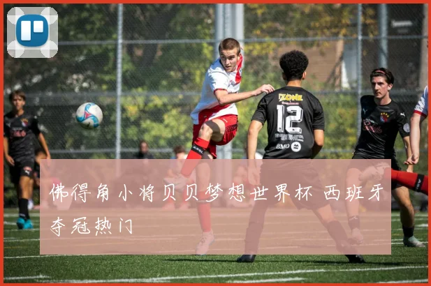 佛得角小将贝贝梦想世界杯 西班牙夺冠热门
